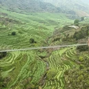 黄山旅游 缩略图 9