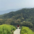 黄山旅游 缩略图 5