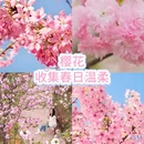 重庆旅游 缩略图 3