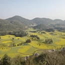 昆明旅游 缩略图 7