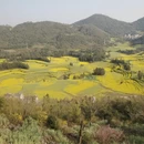 昆明旅游 缩略图 5