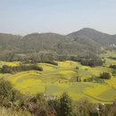 昆明旅游 缩略图 6