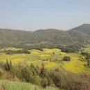 昆明旅游 缩略图 2