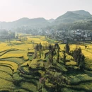 曲靖旅游 缩略图 7