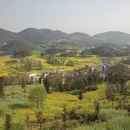 昆明旅游 缩略图 10