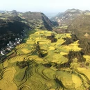 曲靖旅游 缩略图 4