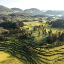 曲靖旅游 缩略图 6