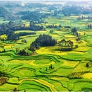 曲靖旅游 缩略图 6