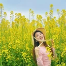 重庆旅游 缩略图 5