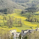 曲靖旅游 缩略图 10
