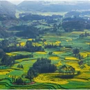 曲靖旅游 缩略图 5