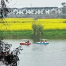 重庆旅游 缩略图 12