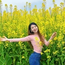 重庆旅游 缩略图 10