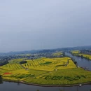 重庆旅游 缩略图 5