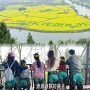 重庆旅游 缩略图 15