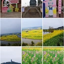 重庆旅游 缩略图 1