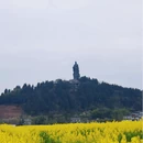 重庆旅游 缩略图 8
