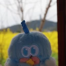 重庆旅游 缩略图 13