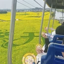 重庆旅游 缩略图 15
