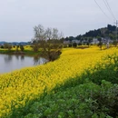 重庆旅游 缩略图 7