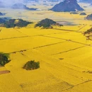 普洱旅游 缩略图 1
