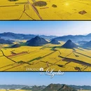 普洱旅游 缩略图 4