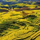普洱旅游 缩略图 7