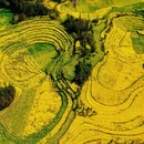 普洱旅游 缩略图 12