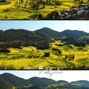 普洱旅游 缩略图 13