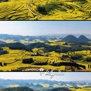 普洱旅游 缩略图 9