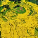 普洱旅游 缩略图 11
