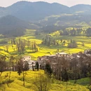 昆明旅游 缩略图 1
