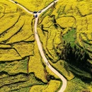 普洱旅游 缩略图 8