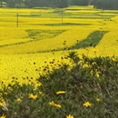 昆明旅游 缩略图 3