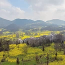 昆明旅游 缩略图 4