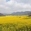 昆明旅游 缩略图 5