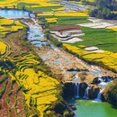 普洱旅游 缩略图 15
