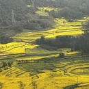 昆明旅游 缩略图 2