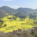 曲靖旅游 缩略图 6