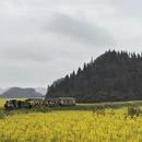 曲靖旅游 缩略图 4