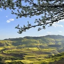 曲靖旅游 缩略图 13