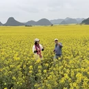 曲靖旅游 缩略图 5