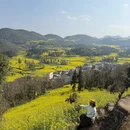 曲靖旅游 缩略图 10