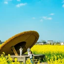 重庆旅游 缩略图 2