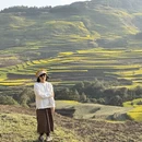 曲靖旅游 缩略图 14