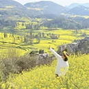 曲靖旅游 缩略图 8