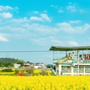重庆旅游 缩略图 9