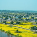 重庆旅游 缩略图 8