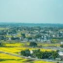 重庆旅游 缩略图 11