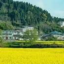 重庆旅游 缩略图 13